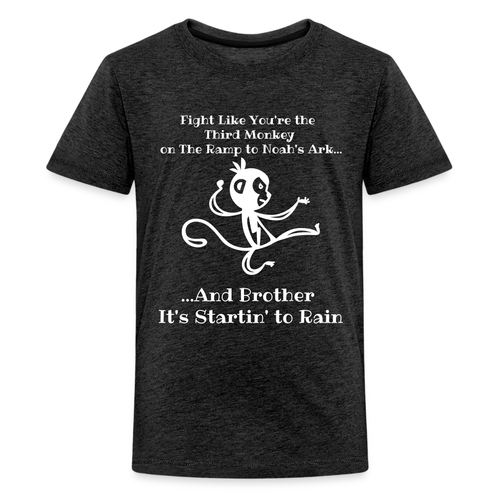 Fight like the 3rd Monkey - charcoal grey